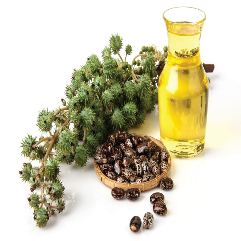 Castor Oil